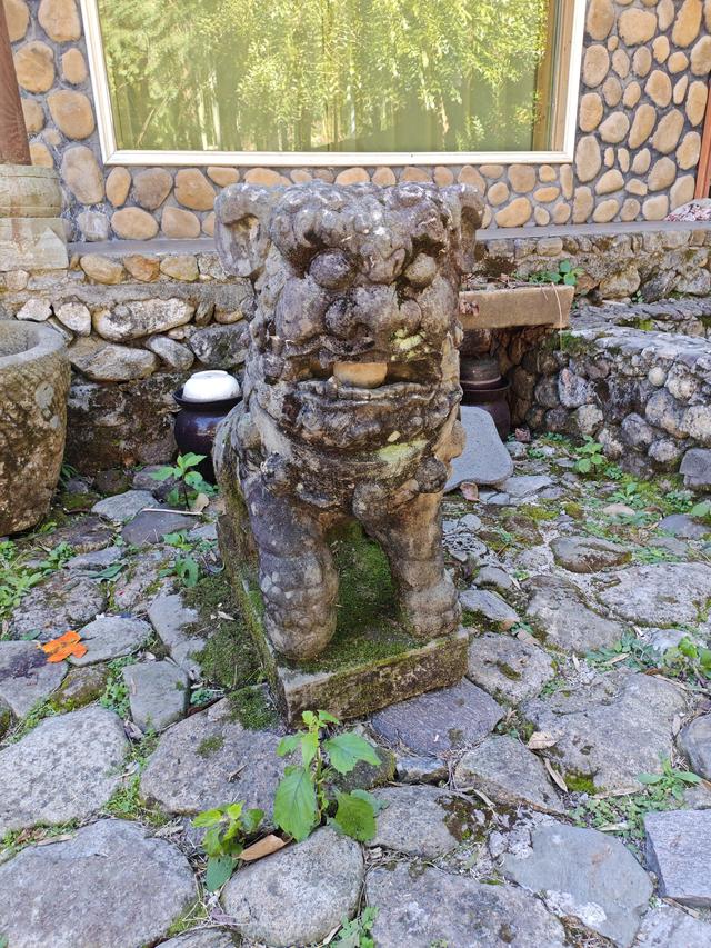 郁郁银杏无非般若，青青溪石尽是法身：宜春南惹古村印象（聂朋