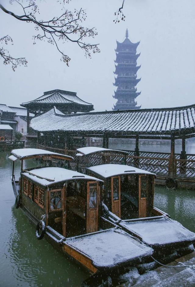下雪了！下雪了！浙江的第一场雪来了！