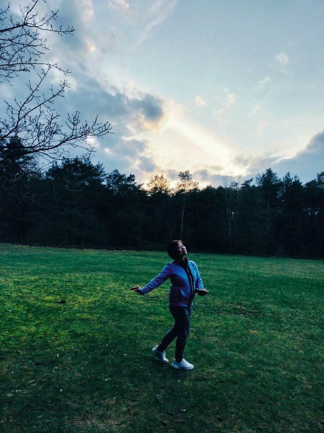 《再见，荷兰》