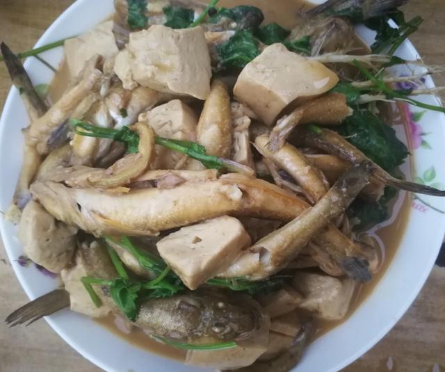 游河北:乐亭县 京津2.5小时直达,李大钊故乡的海滨田园等你来!