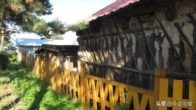 漠河归来说漠河（七）北极村的华丽“蝶变”