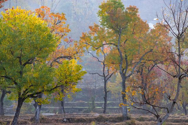 大别山中徐凤冲