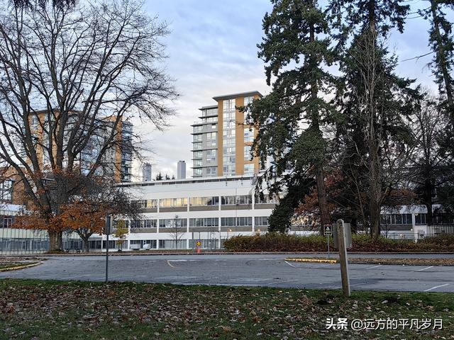 温哥华游记（五）