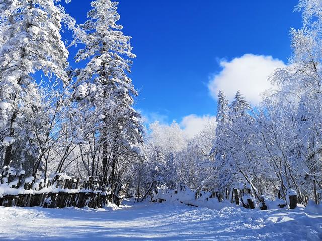 雪覆京山：北京山区的冬日童话