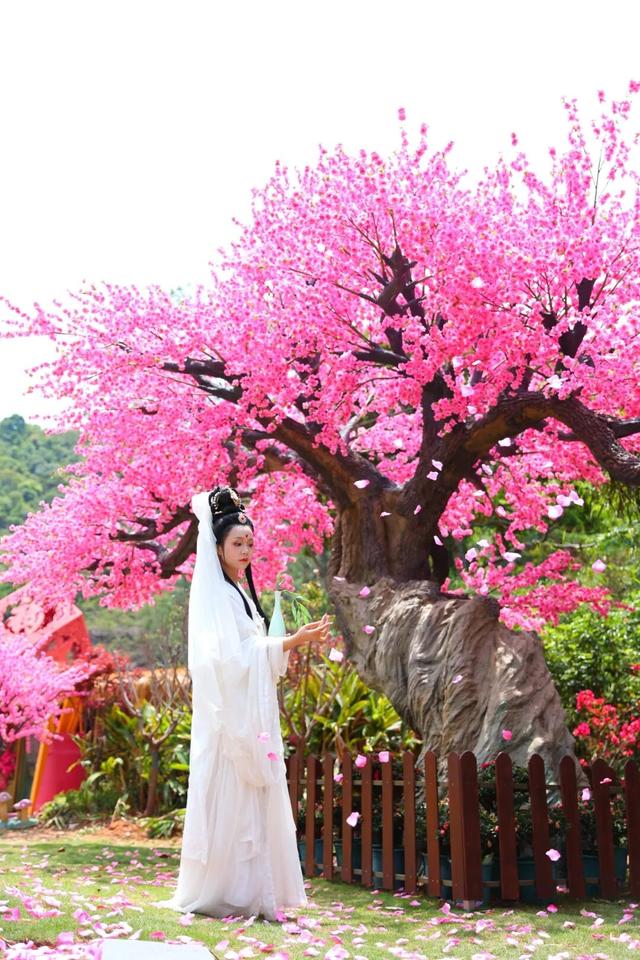 11月8日（农历九月十九）观自在现场送福，来观音山打卡许愿