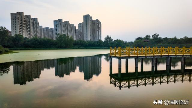 红石湖公园“升级归来”，绘就临沭幸福生活新图景