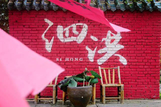 宿迁泗洪洪泽湖湿地，芦苇遍布，环境优美，一幅被秋天浸染的画卷