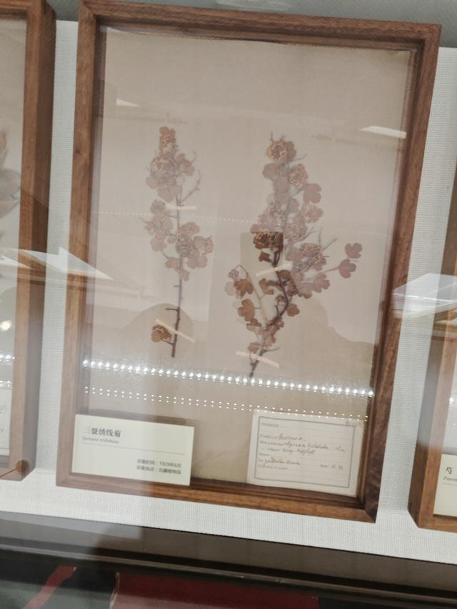 周末遛娃好去处