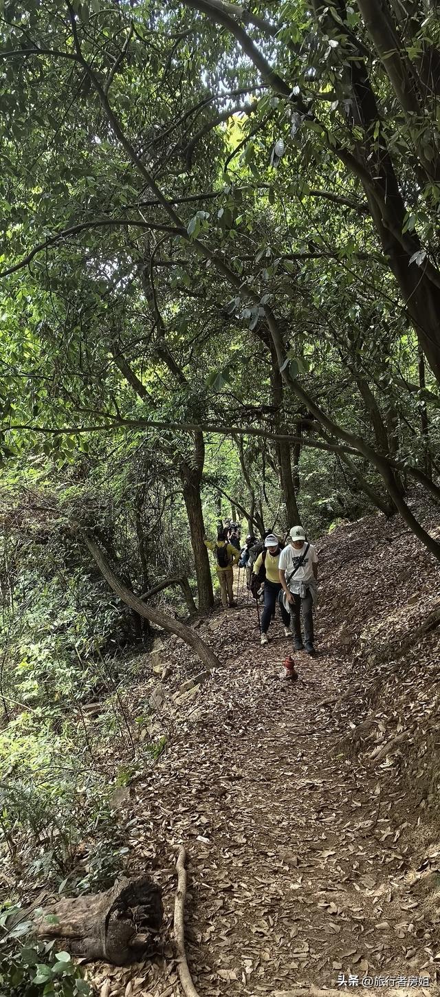 太意外了，原来从旺山风景区到上方山国家森林公园是如此的近