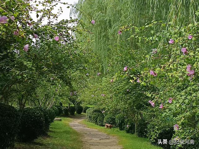 商丘黄河故道：生态画卷中的自然诗篇