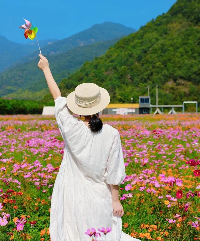 萧山已美到next level！不少人扎堆往这赶！