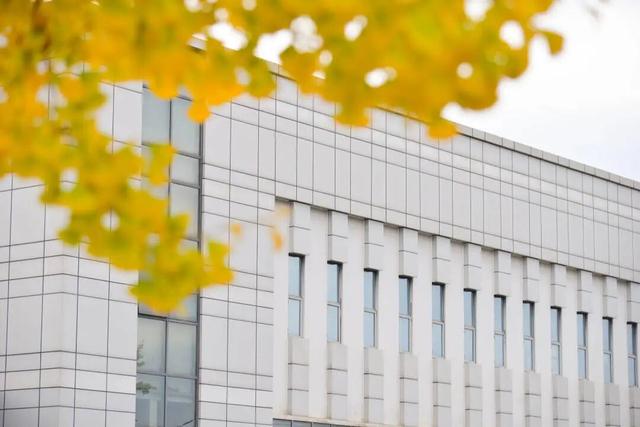 太美了！金堂这些地方值得一去