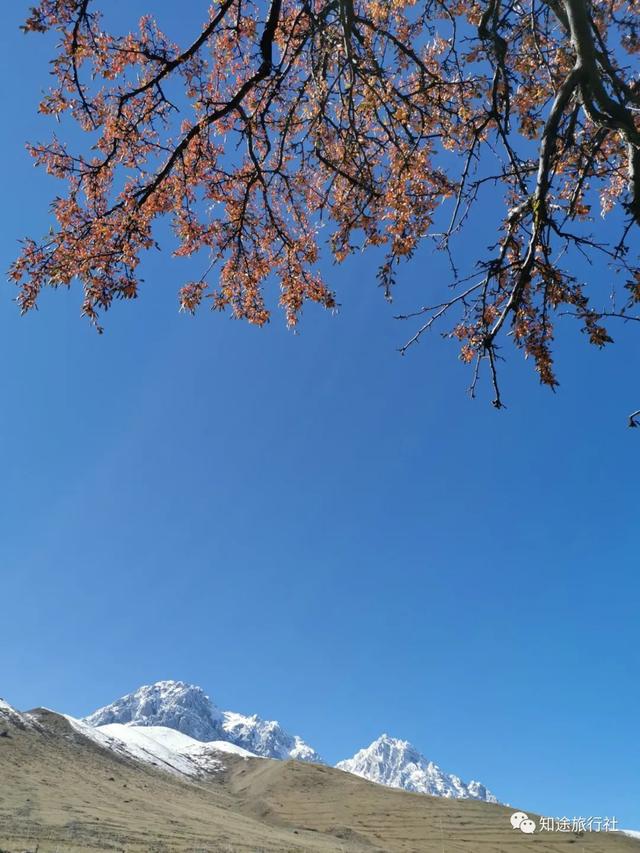 避开人潮，经典川西秋色10天行，人生必须要有的一场旅行！