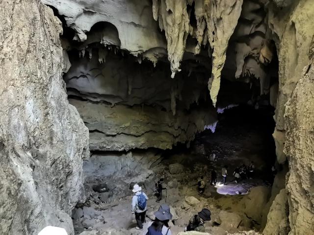 带小朋友去贵州茂兰，连环探洞加漏斗原始森林徒步二日游全攻略！