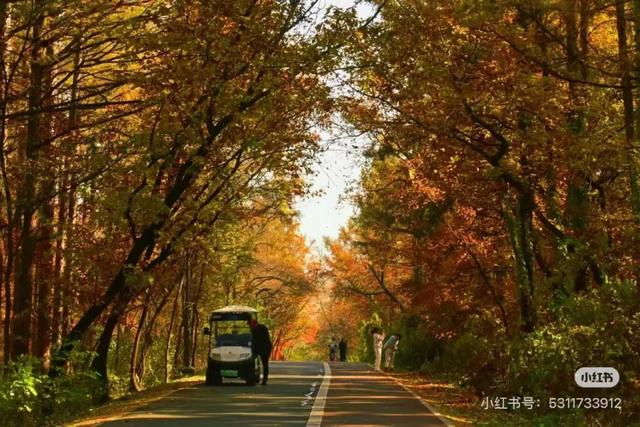 吉林赏秋榜出炉!净月登榜!这份“追秋”攻略快收好~