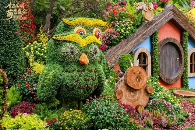 不愧是顶流！一大早就红了，人挤人持续好多天！萧山人家门口也有······