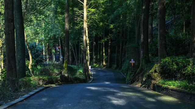 彭州这条“世界级”徒步线，走起！