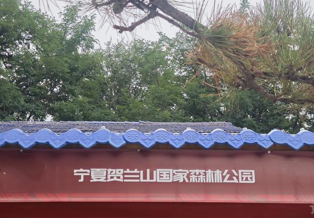 山西及周边随意行之贺兰山 12
