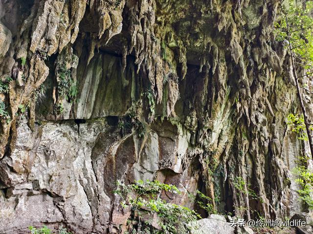 马来西亚(29)砂拉越州③姆鲁山清水洞·风洞