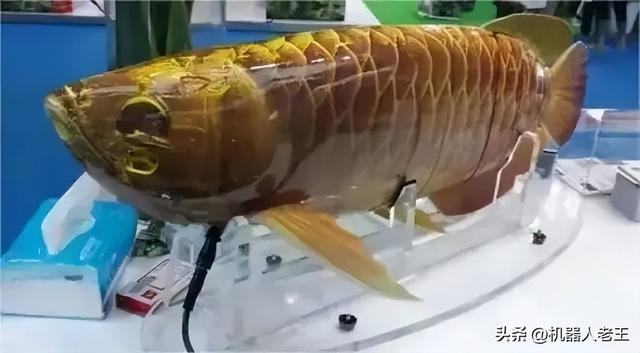新闻速递｜优必选2025年中期业绩 仿生机器人如何颠覆未来战场格局