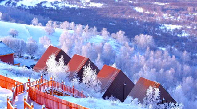 酷玩额尔古纳：解锁冰雪世界的N种超酷玩法