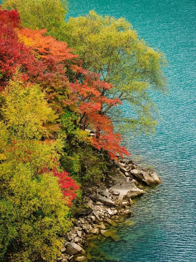 松坪沟彩林已“封神”！泡暖泉、赏非遗打铁花，这波三重盛宴错过等一年！