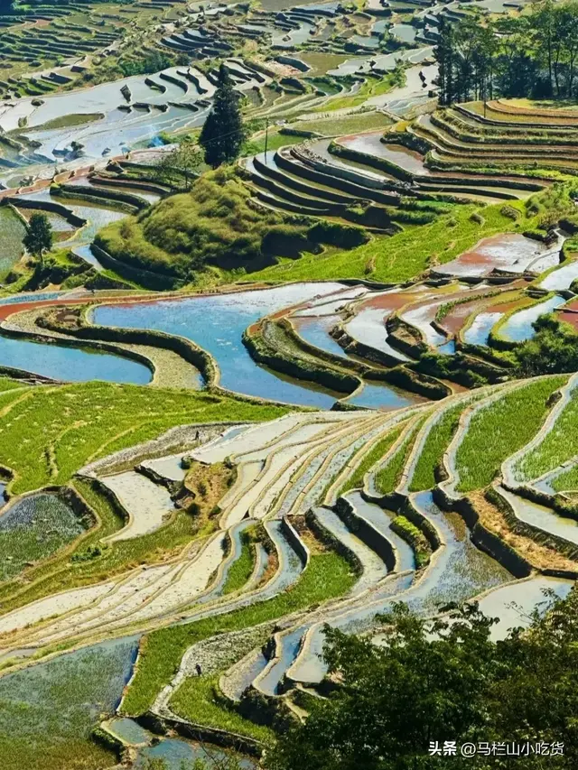 云南红河元阳梯田|小众宝藏打卡地之旅！