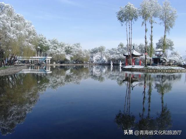 青海的冬天有多美?风裹着雪吻过河流,阳光在雪山尖写满温柔