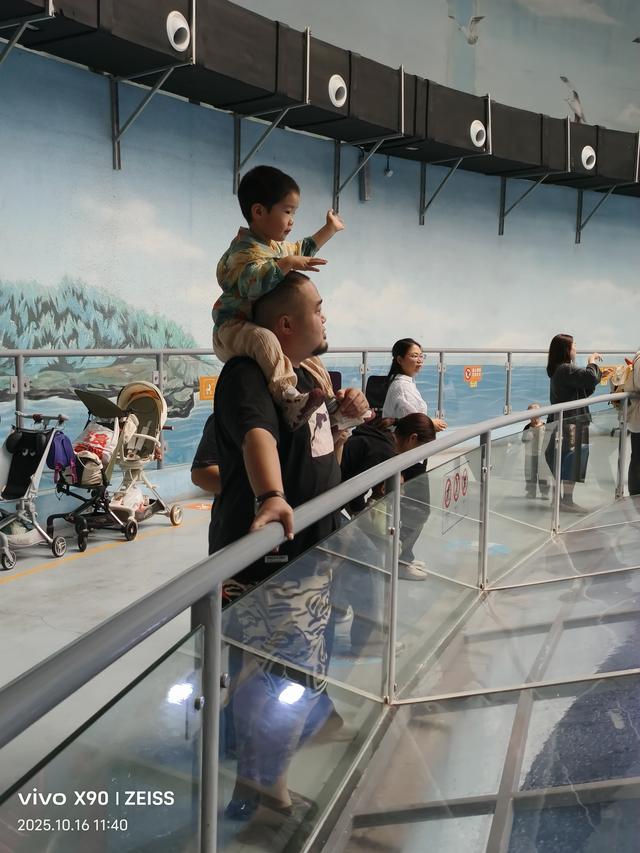 成都 极地海洋公园（58）2025年10月16日