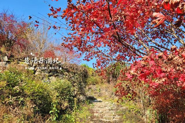 浙江宁波这两条古道堪称黄金组合，景色比油画还要美，游玩正当时