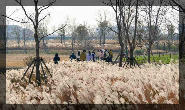 大河村国家考古遗址公园明日开园 提前探访！沉浸式历史展示 让史前文明“可触可感”