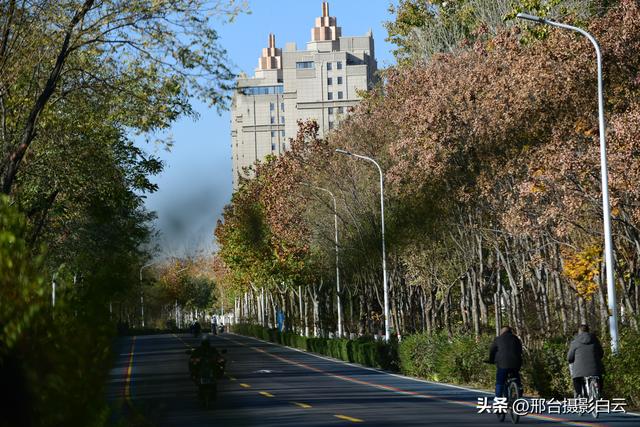 信都区总工会：七里河绿道上的骑行狂欢