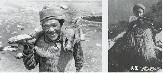 探险家塞弗尔率领探险队在车仁家族的帮助下，进入西藏进行考察