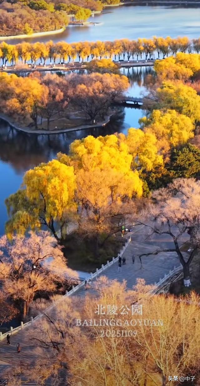 沈阳人私藏！北陵公园才是冬日天花板！