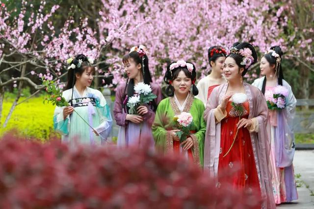 襄城玉兰花开成海！还有更美的田园风景