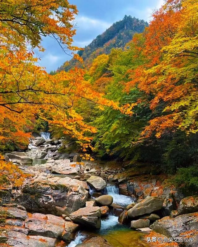 穿越米仓红枫，探秘巴山大峡谷：秦巴山脉里的秋日秘境与千年巴韵