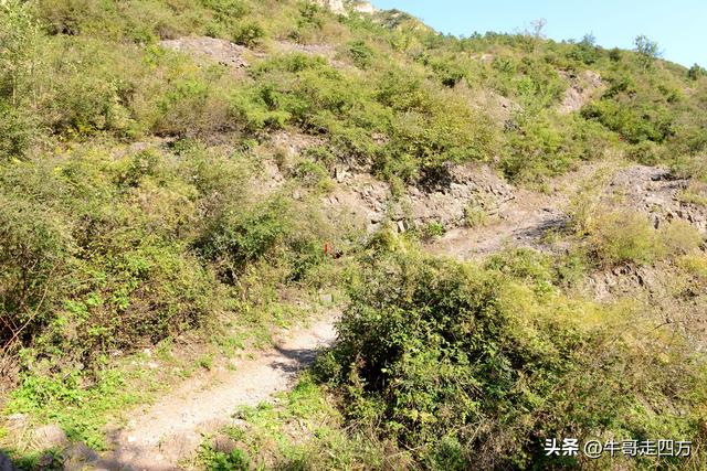 延庆应梦寺（五）：山巅极目收千嶂，林海听风涤尘心