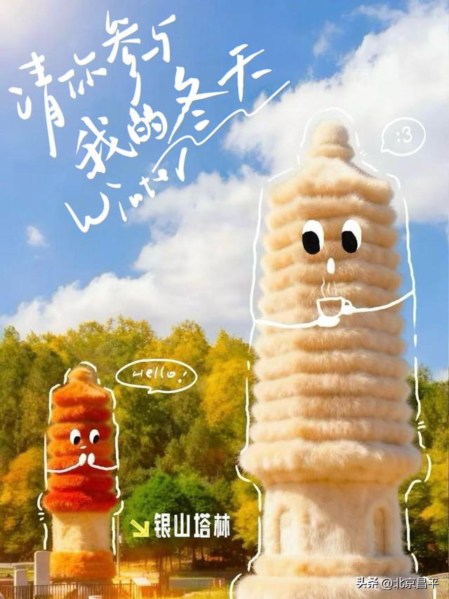 降温啦！一起拥抱“毛茸茸”的冬天