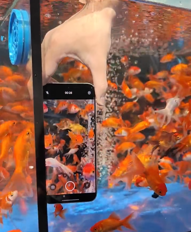 OPPO Find X9：手机界的六边形战士