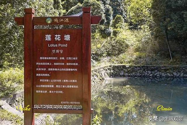 影记 | 衢州钱江源国家森林公园