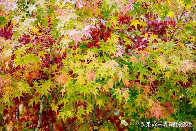 陕西渭南：天晴了 高新区时代广场秋色盎然