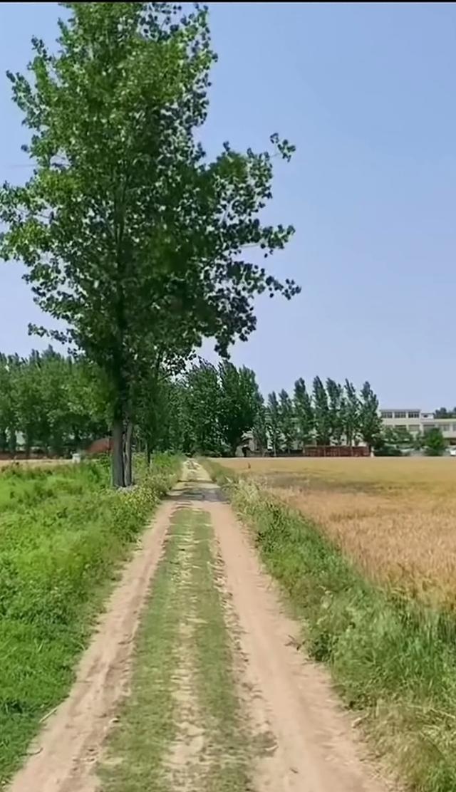 缁胯壊鎶ょ溂澹佺焊缇庡浘