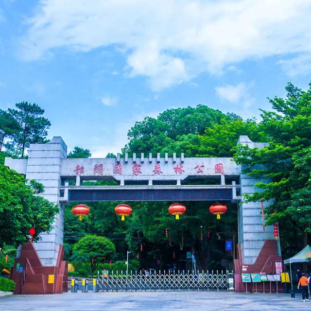 韶关4条“秋日神仙线路”登场，活力越野、银杏赏秋、非遗美食承包你的快乐旅途→