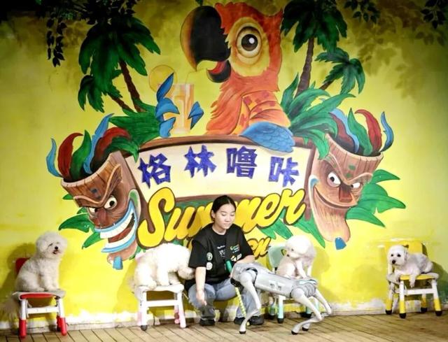 潍坊人有自己的“疯狂动物城”！冲！冲！冲！