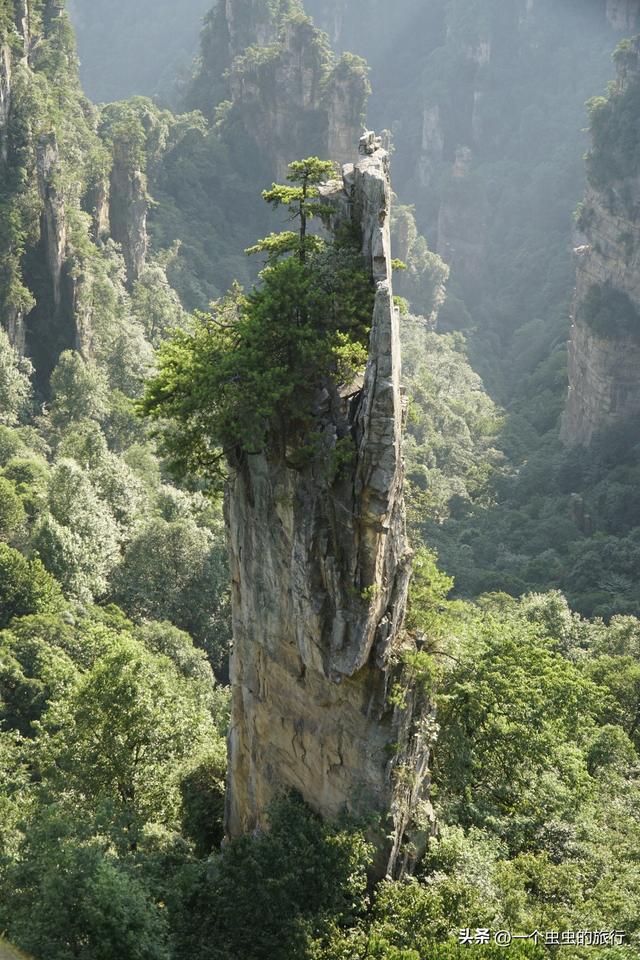 悬浮山实景！张家界天子山，阿凡达导演看了都直呼内行！