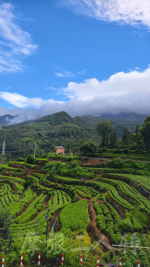 皖浙摩旅二人转——松阳杨家堂篇（下）