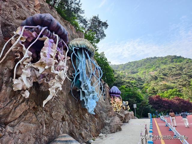 大连海之韵公园·棒槌岛