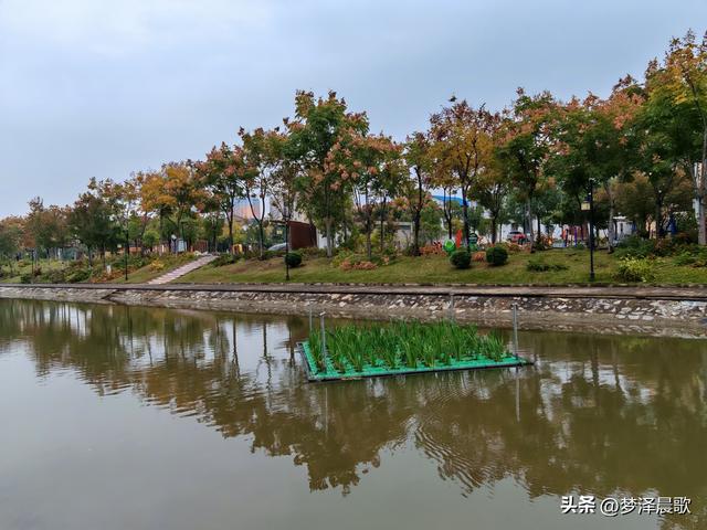 云梦生态浮岛的三重奏
