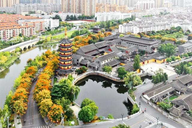 全了！如皋宝藏打卡地！