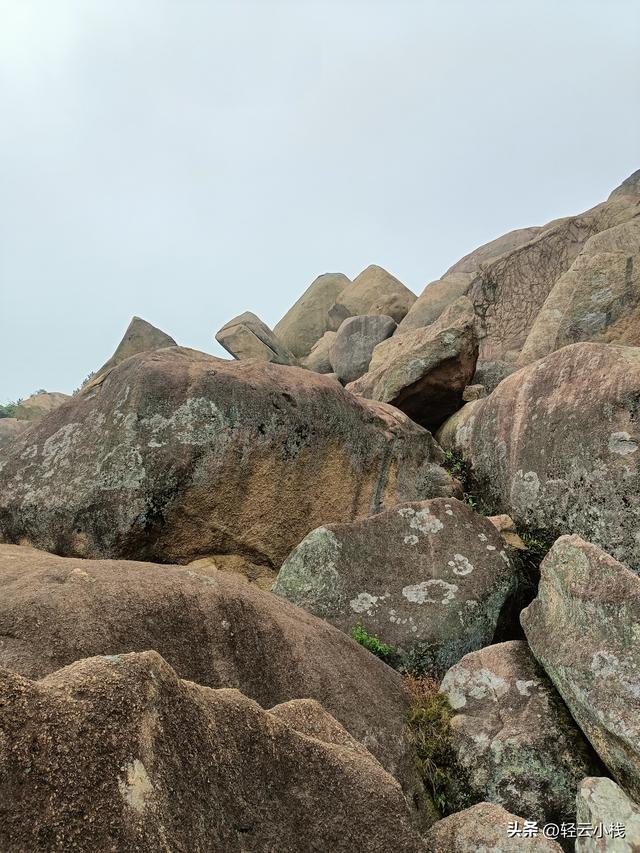 爬灵山石树感触到的（一）